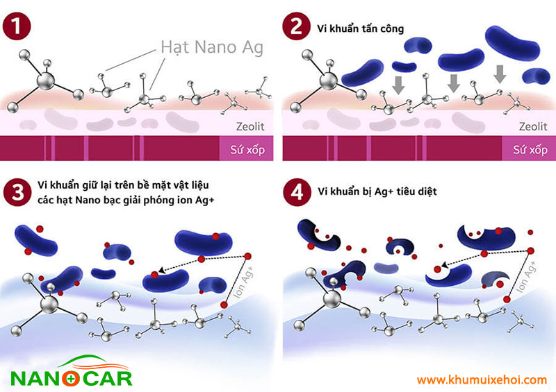 Cơ chế diệt khuẩn của Nano Bạc